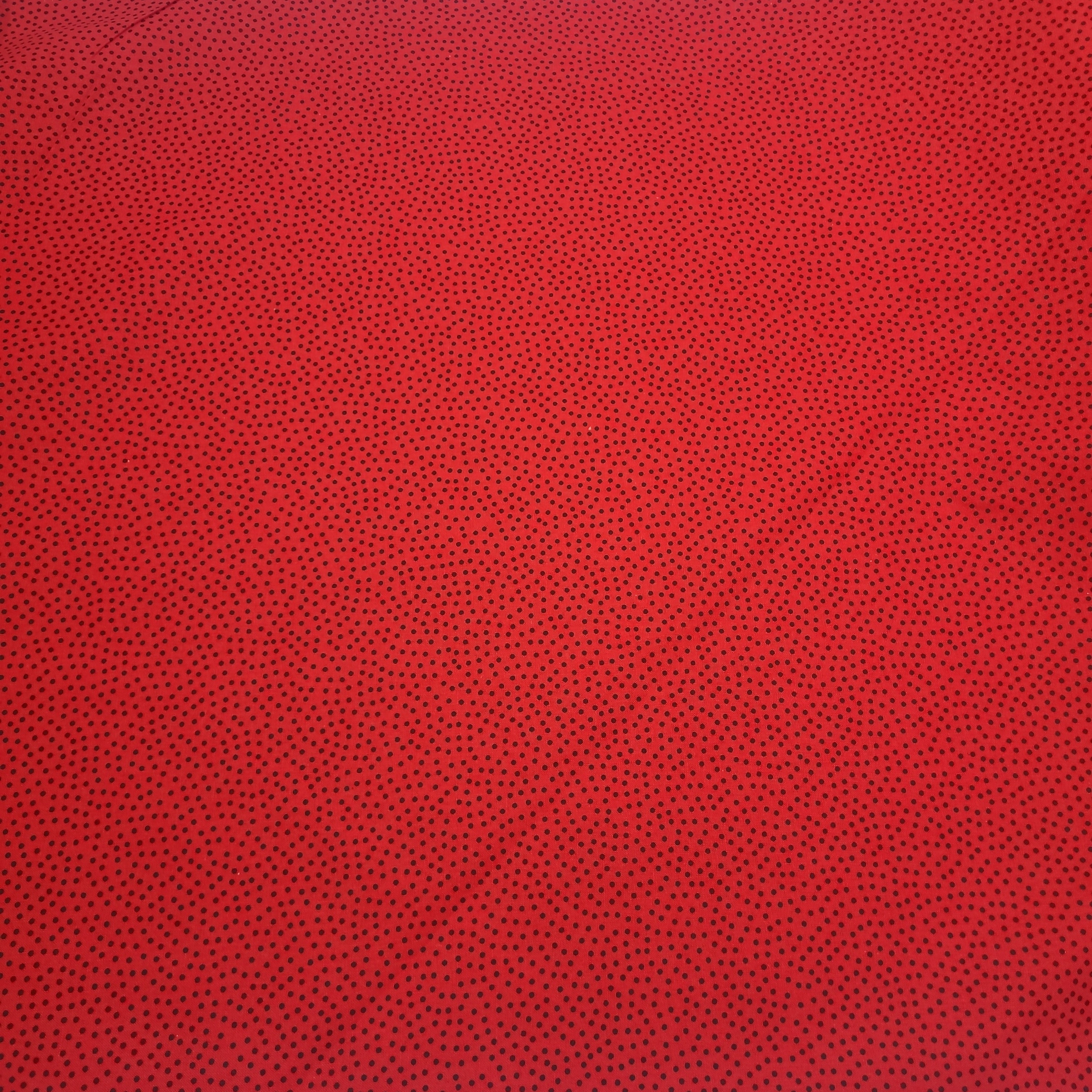 Confetti Dots-6 - Tomato