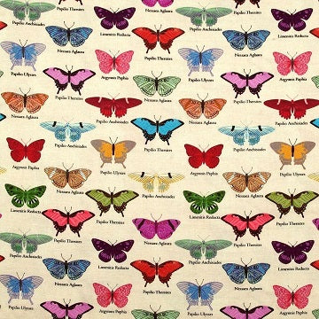 My Flutter By by Stof - Butterflies Displayed 4501-424