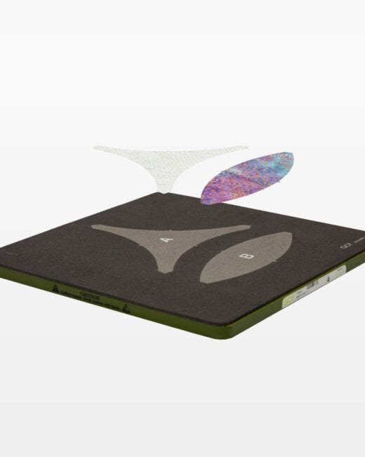 GO! Joseph's Coat-11" Finished Die