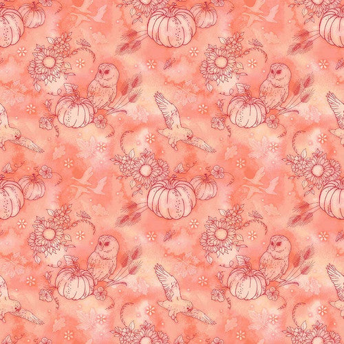 Night Owls by Kathleen Francour - Outline Pumpkin Toss