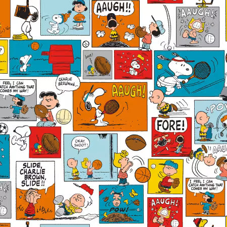 Charlie Brown - Peanuts Sports Comic