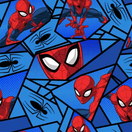 Spiderman & Spiders Blue