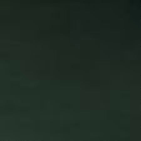 Shannon Fabrics - Cuddle - Spruce Solid Cuddle 90in Wide