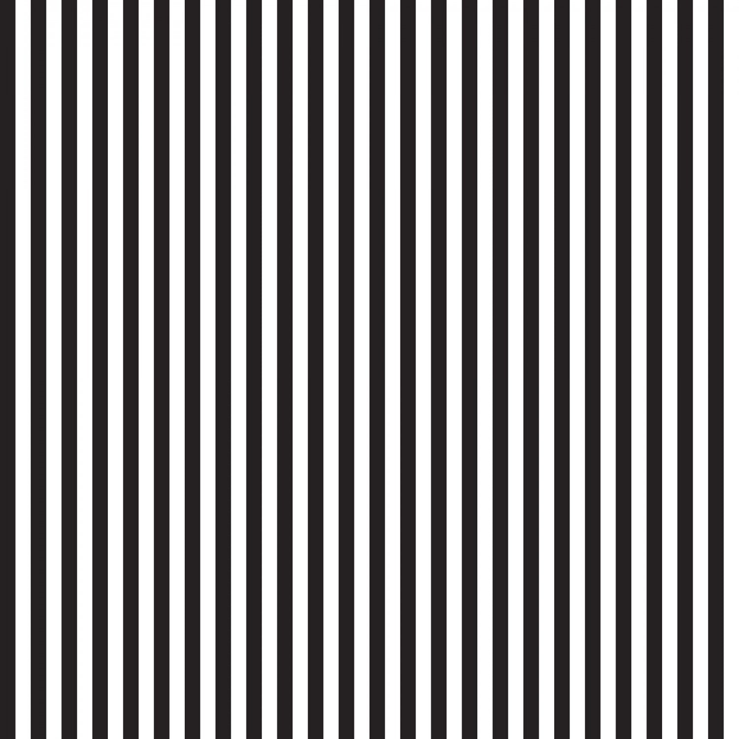 Riley Blake Designs Basics Collection - Black 1/4" stripe