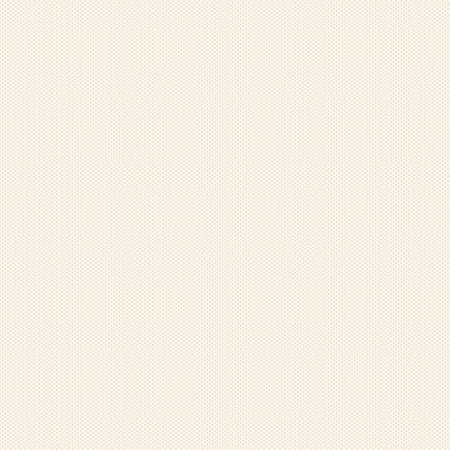 Riley Blake - Poparazzi In Color - Cream