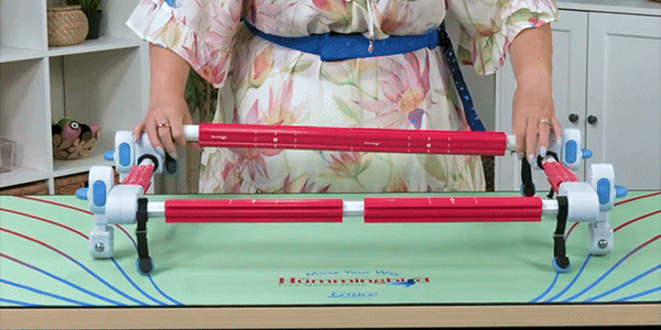 Hummingbird Free Motion Hoop Frame