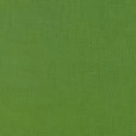 Kona Cotton Solid - Grass