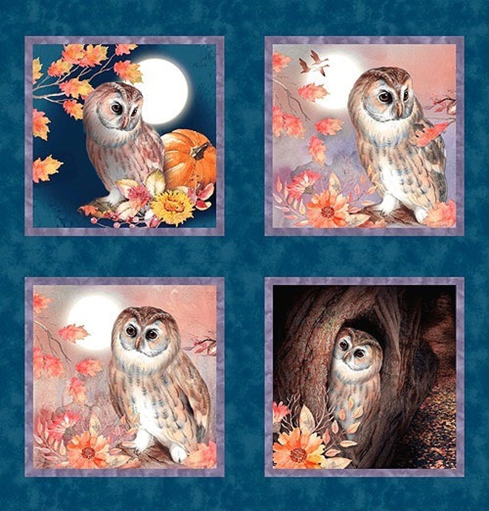 Studio E - Night Owls - Kathleen Francour - Panel