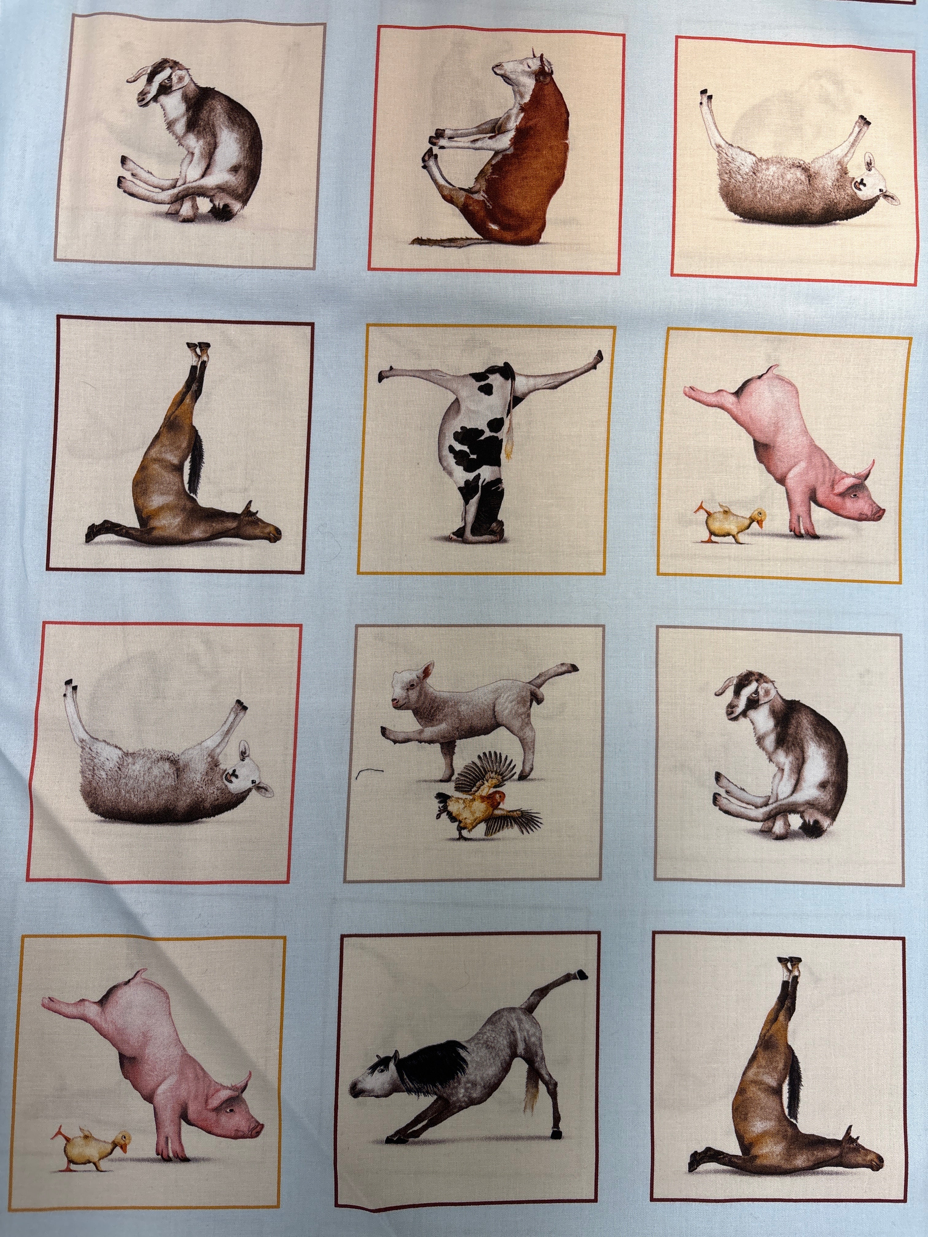 Yoga is for Everyone - Pat. 8301 Col. Blue - International Textiles