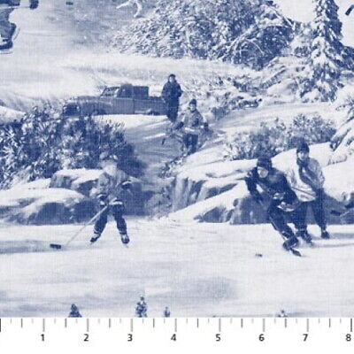 Northcott Fabrics- Hometown Hockey- DP22912-41