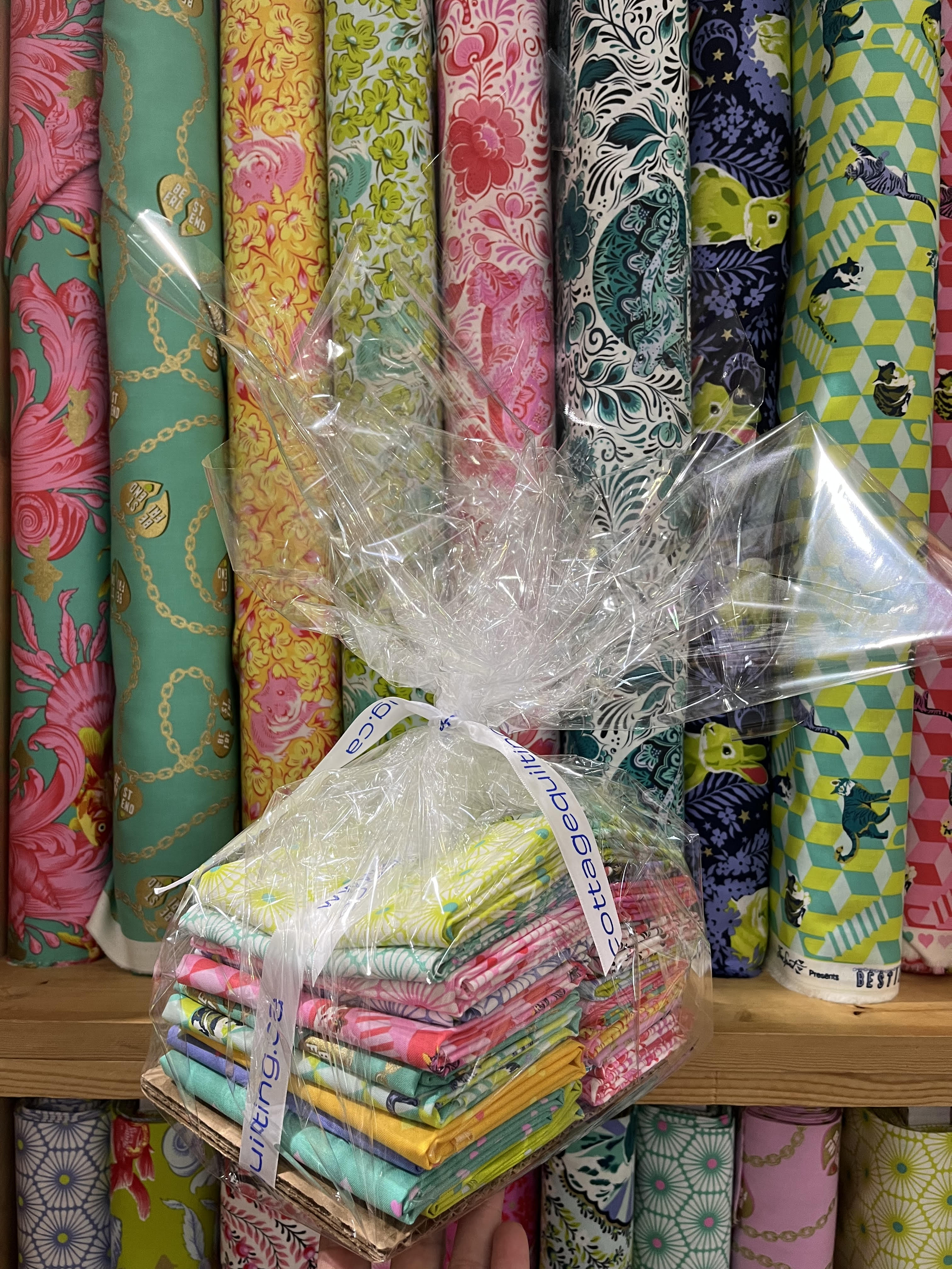 Tula Pink - Besties -Half Metre Bundle 22 pcs