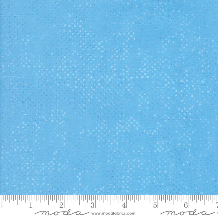 Zen Chic - Spotted Bluebell - 1660 34