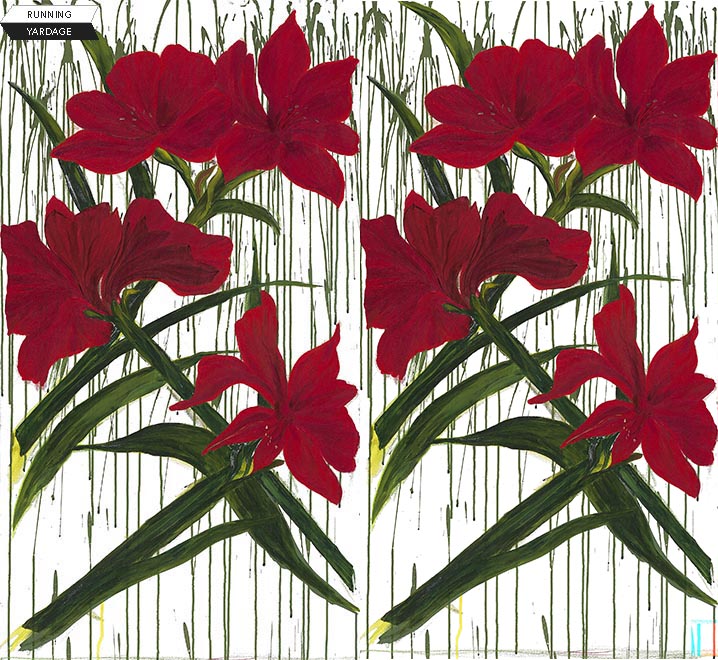 Winter Garden - Stephanie Brandenburg - -Amaryllis Panel in White  - 40016-10
