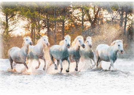 Hoffman Fabrics - Call of the Wild - Rusty U5069H-700