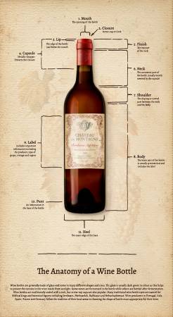 Iron Orchid -  Light Caramel Cheers Digital 24in Anatomy of a Bottle Panel - Y3914-64
