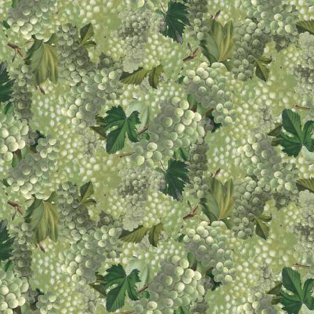 Iron Orchid - Olive Cheers Digital Grapes - Y3917-24