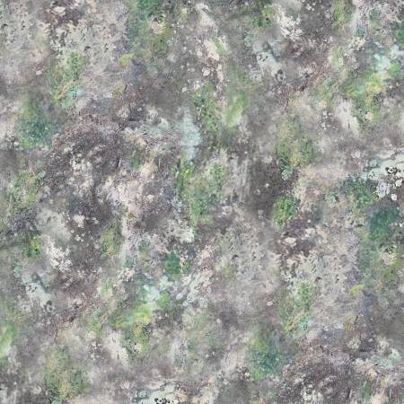 A New Adventure - Grey Moss and Rocks Texture