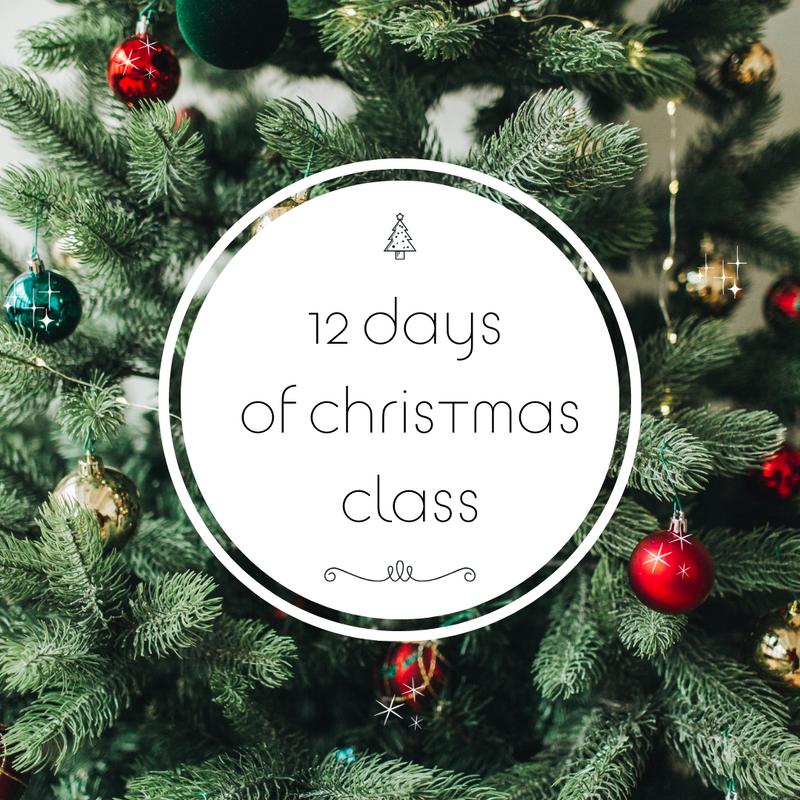 12 Days of Christmas - Class 1