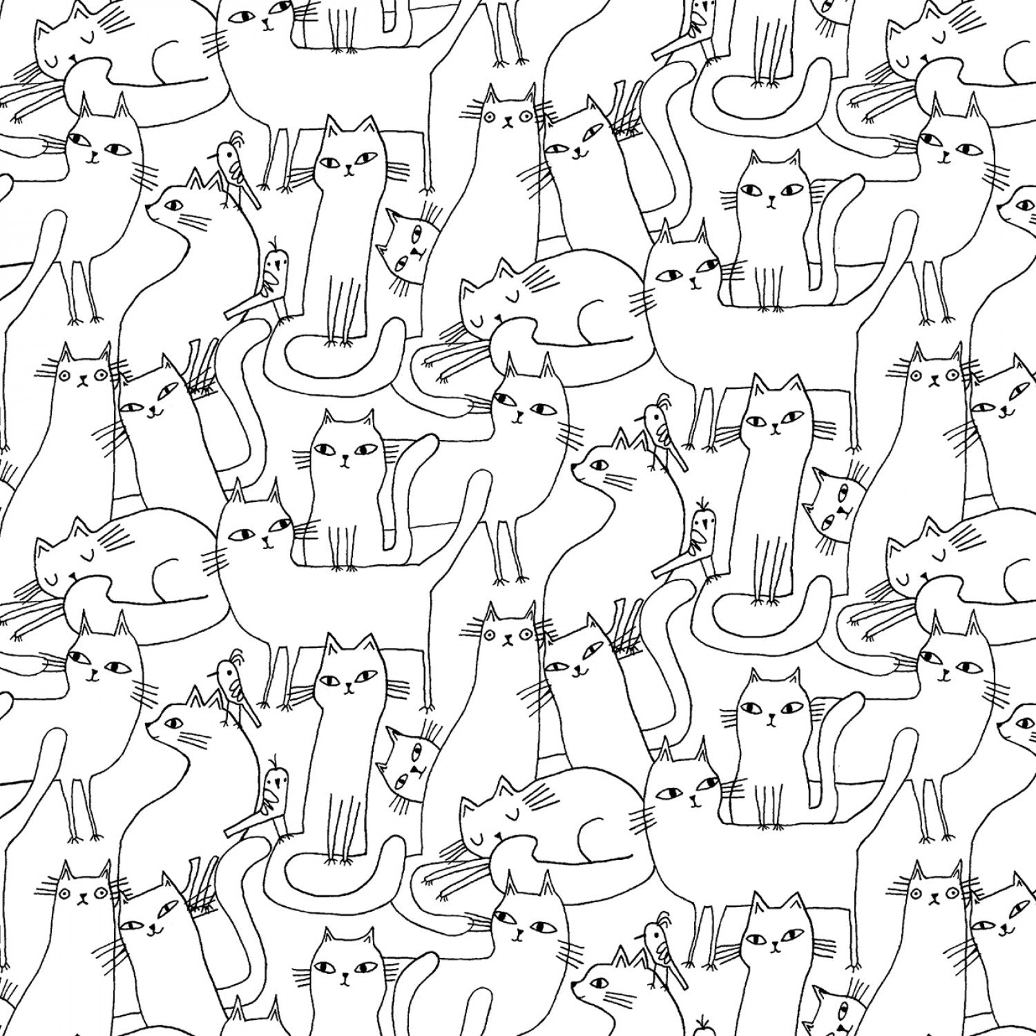 Cosmo Cats - Outline Cats White/Black