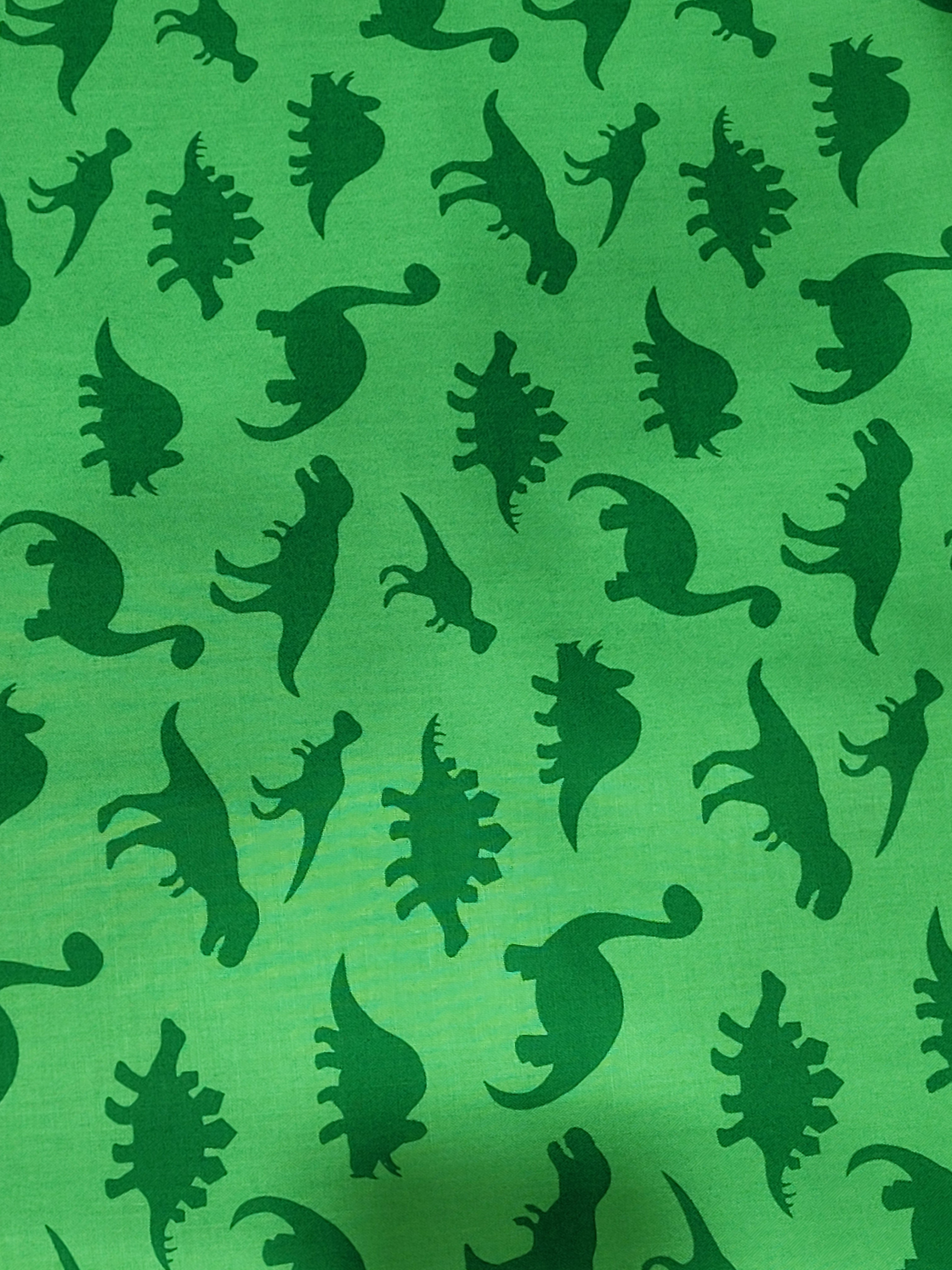 Dinosaur Dance - 87550-104 - Green