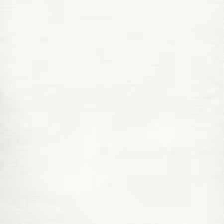 White Tone on Tone Fabric - Floral - Basic Palette