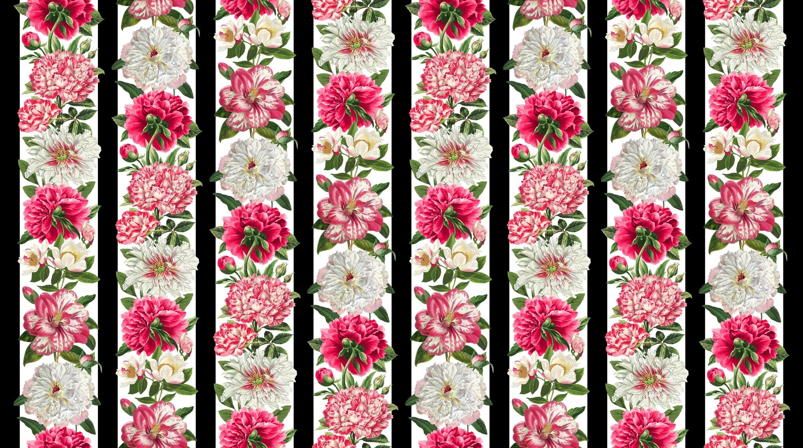 Bloom by Northcott Fabrics - Peony Border Stripe