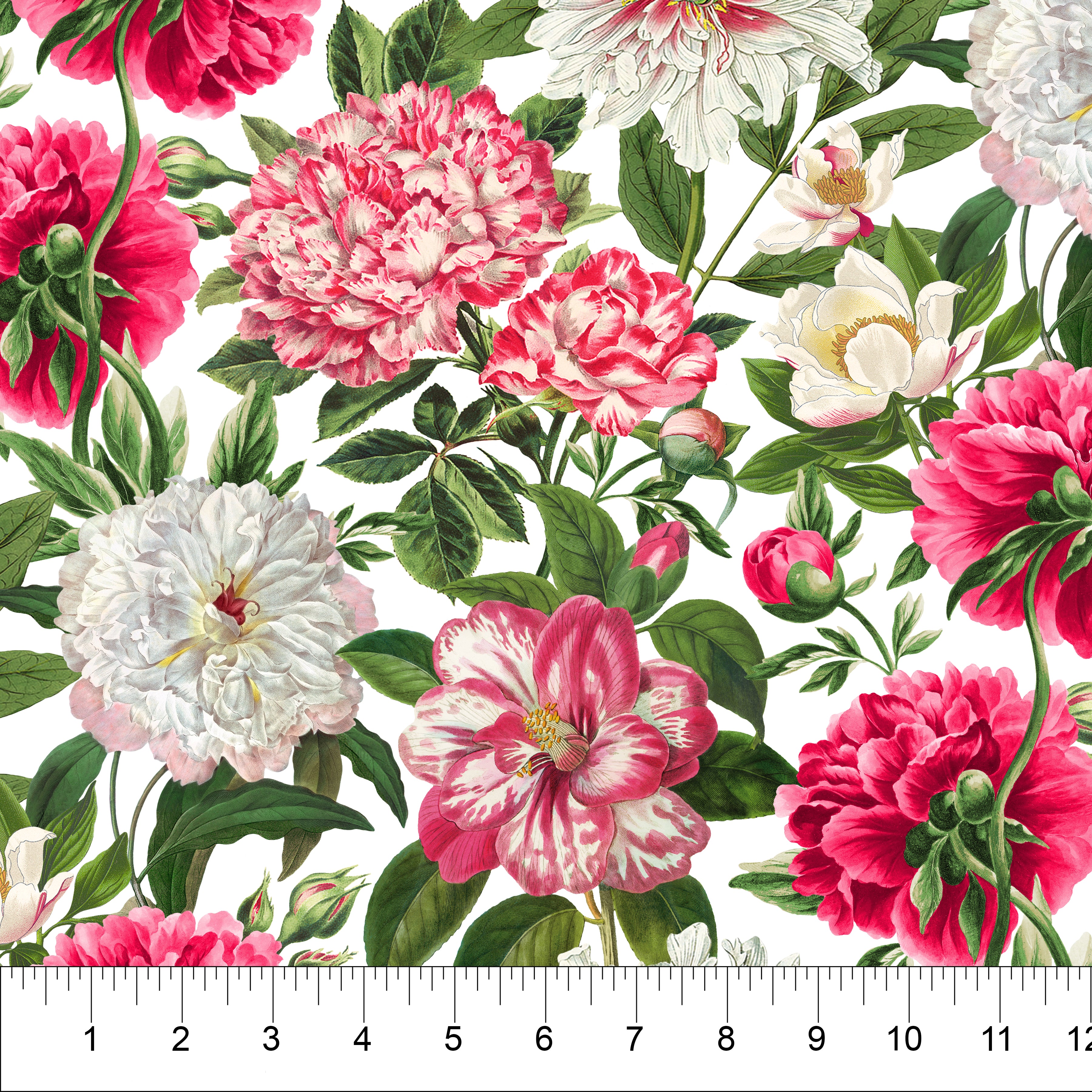 Bloom by Northcott Fabrics - Large Peony