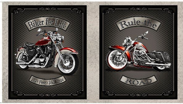 Ride Free Motorcycle Panel -28771-K