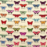 My Flutter By by Stof - Butterflies Displayed  4501-424