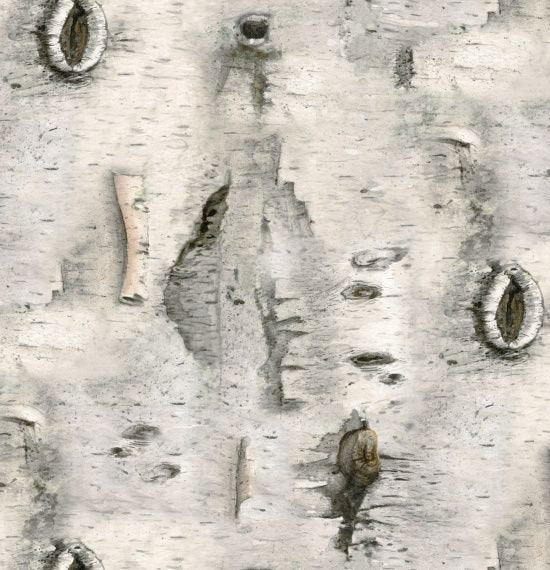 Elizabeth's Studio - Landscape Medley - Birch Bark