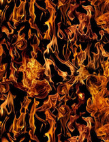 Fire by Timeless Treasures - #C7734