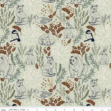 Riley Blake - Let's Wander - Main Mist - C16880-MIST