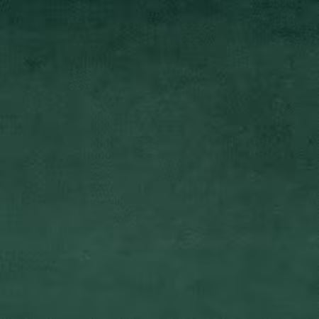 Shannon Fabrics - Cuddle - Evergreen Solid Cuddle 90in Wide