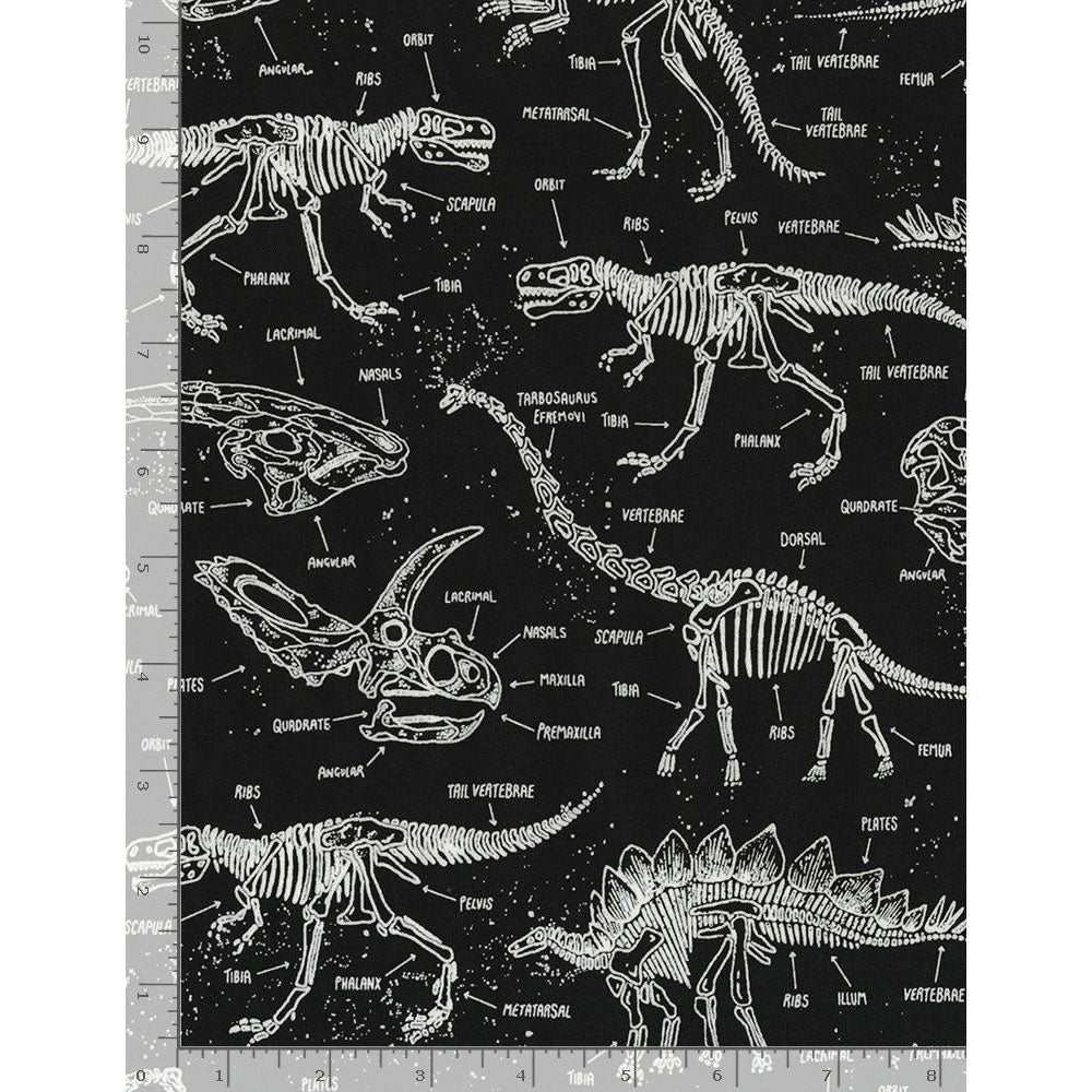 Glow In The Dark- Dinosaur Skeletons by Timeless Treasures