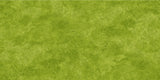Oasis Fabrics - Crackle - 118" Wide Backing 18-47809 Verde 1m PRE-CUT