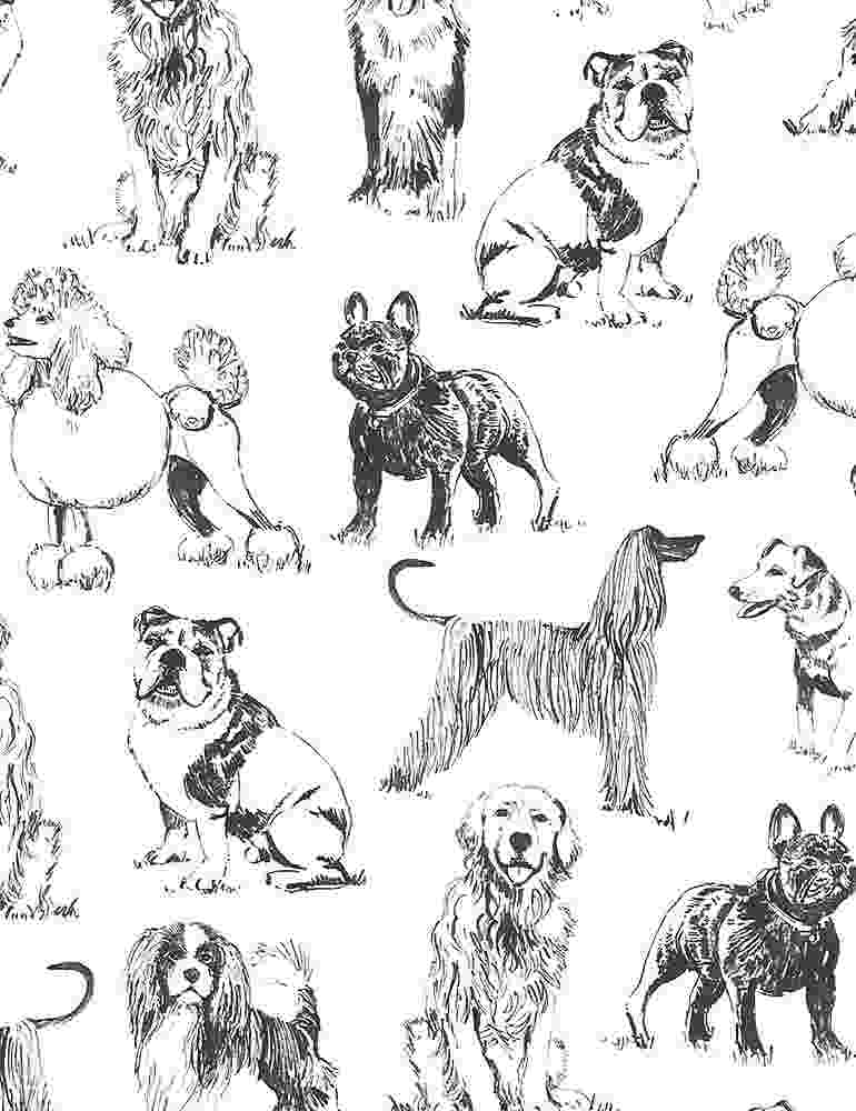 Timeless Treasures - Sketched Realistic Dogs