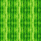 Watermelon Stripes Texture- FRUIT-CD-1926