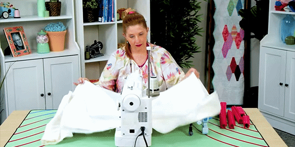 Hummingbird Free Motion Hoop Frame