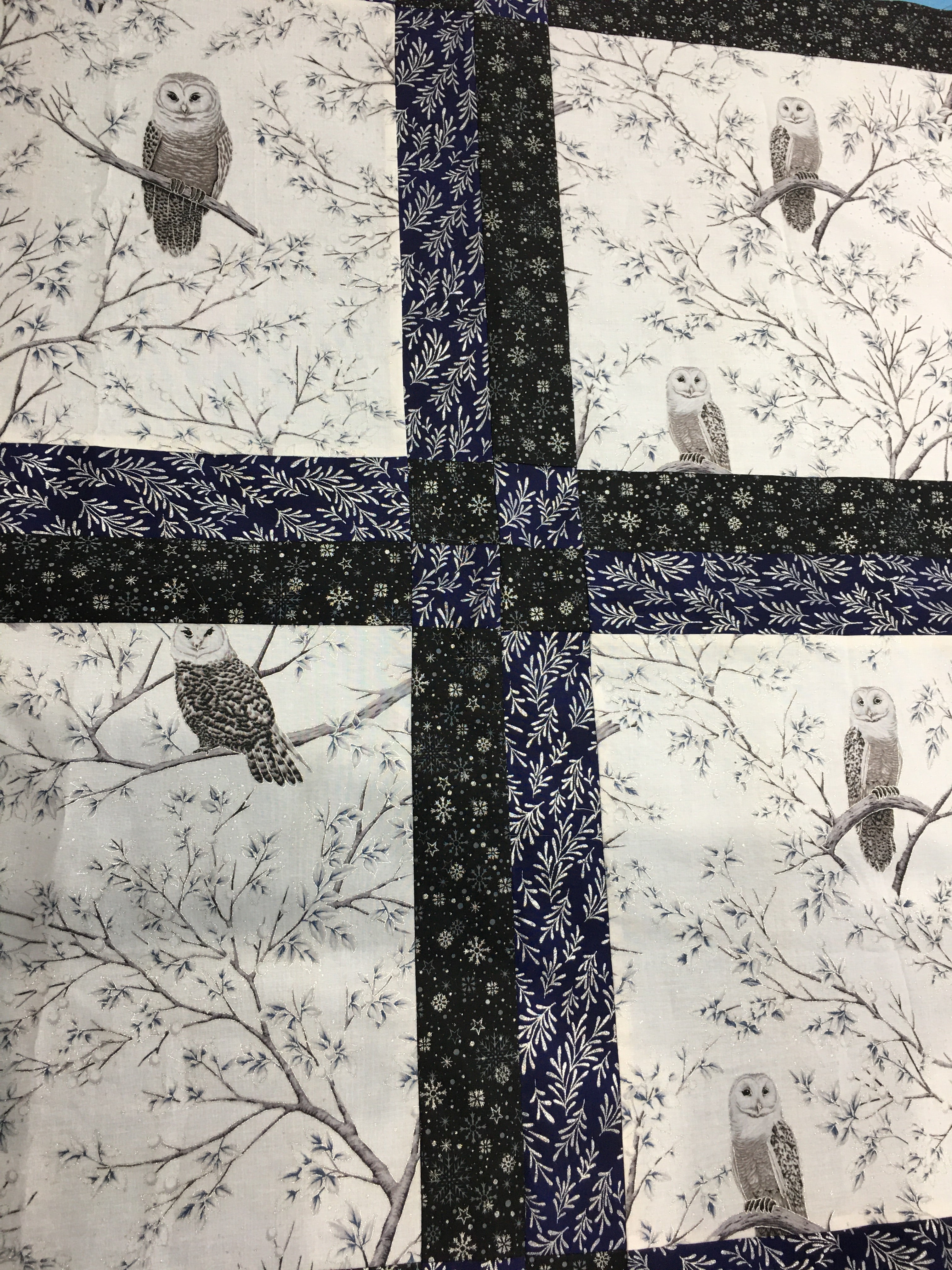 Midnight Perch Quilt Kit