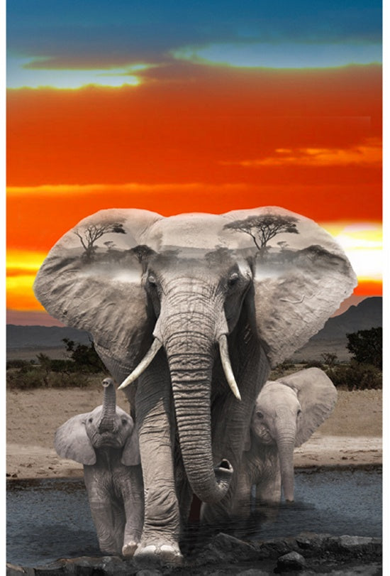 Wild Kingdom Panel- Elephant