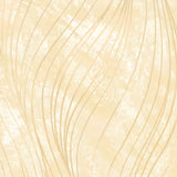 Maywood Studios - Cream -  Go With the Flow - 108in Wide Back