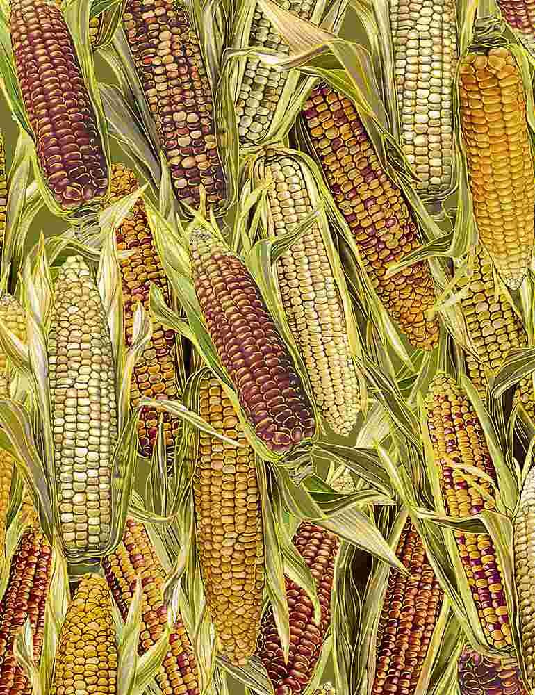 Harvest - Packed Corn - Multi with Gold