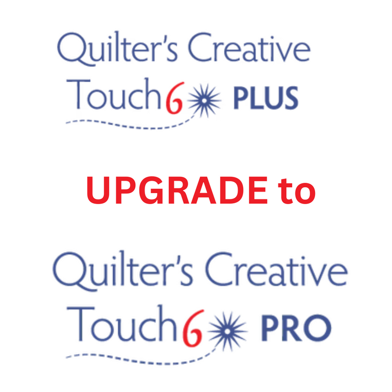 Q'nique Quilt Motion Quilter's Creative Touch 6