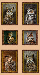 Nocturnal Wonders #2