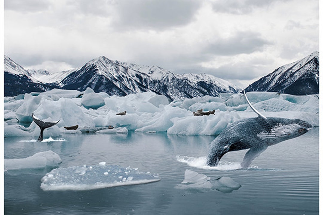 Hoffman Fabrics - Call of the Wild - Arctic Whale Panel #2