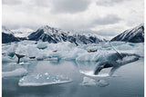 Hoffman Fabrics - Call of the Wild - Arctic Whale Panel #2