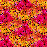 Paula Nadelstern - Where In The World - Belize Pink Multi