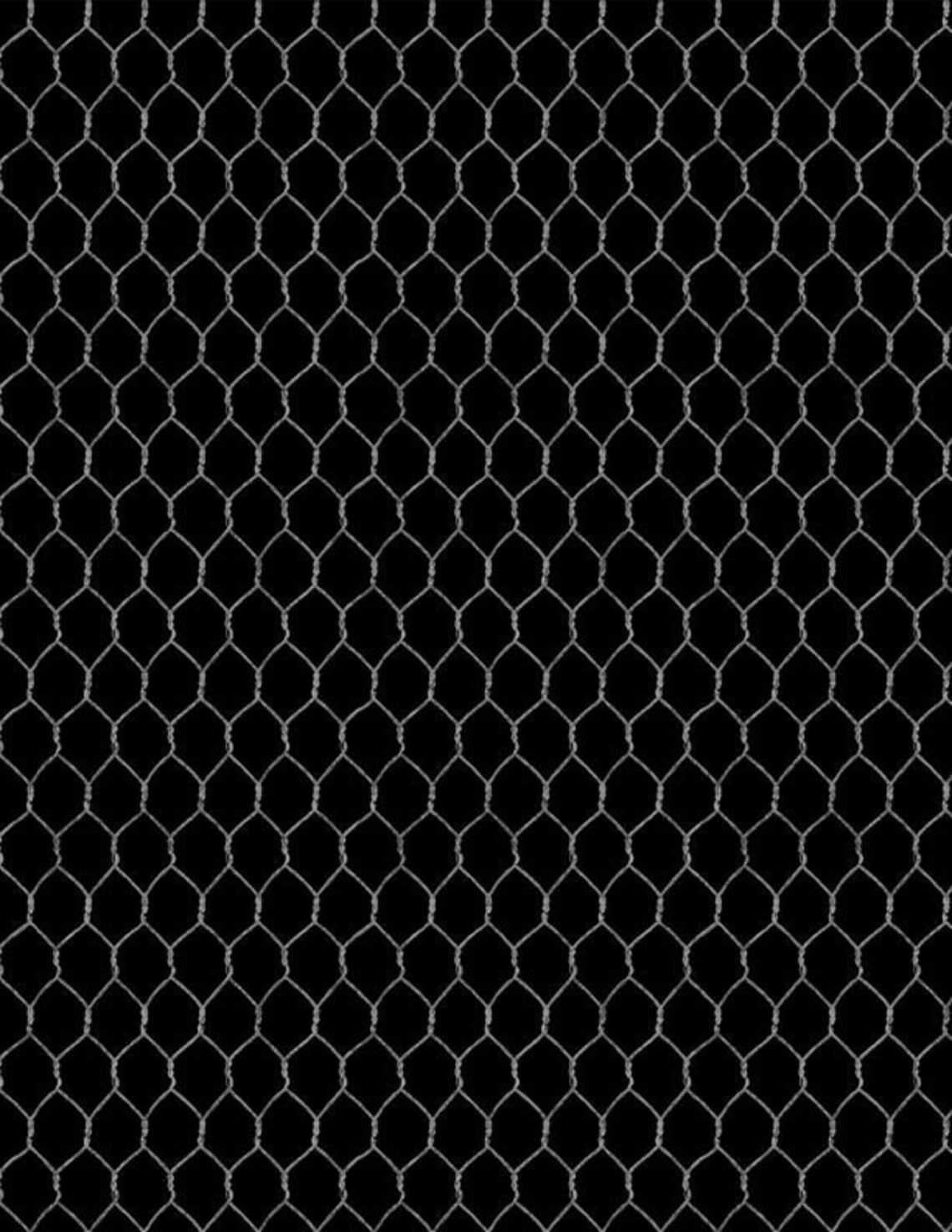 Susan Winget - Proud Rooster  Black Chicken Wire - 3023 39770 999