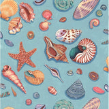 By The Sea- Shells by Nutex UK
