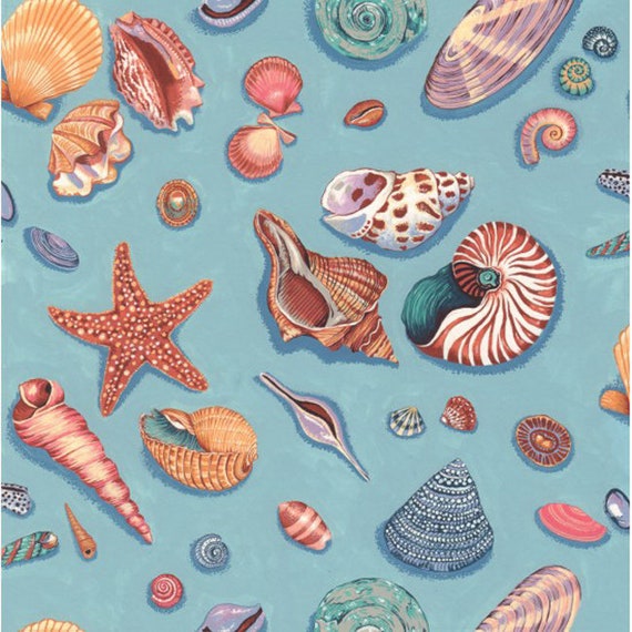 By The Sea- Shells by Nutex UK